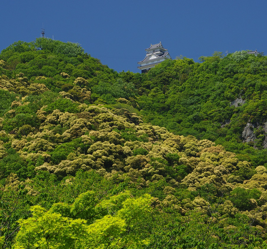 金華山と岐阜城