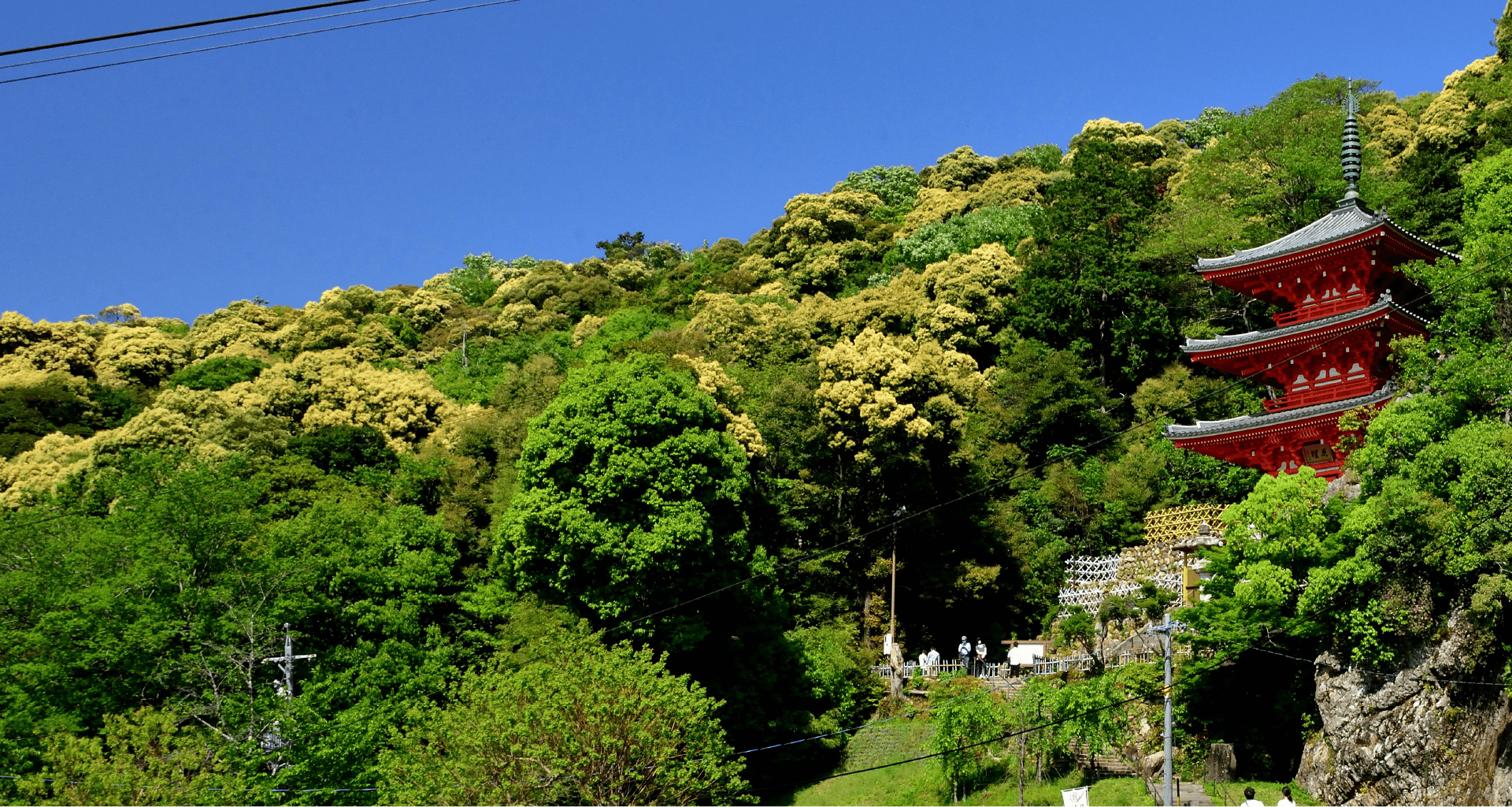 岐阜公園三重塔