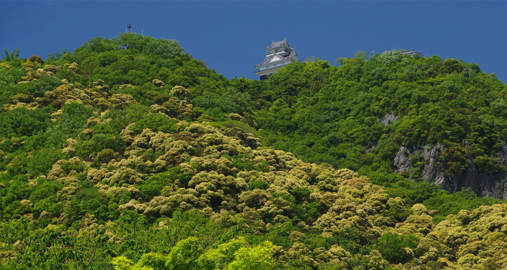 金華山と岐阜城