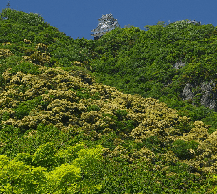 金華山と岐阜城