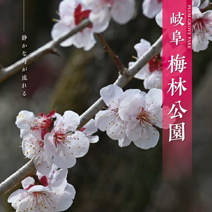 梅林公園パンフレット2026発行